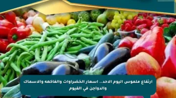 ارتفاع ملموس اليوم الأحد.. أسعار الخضراوات والفاكهة والأسماك والدواجن في الفيوم